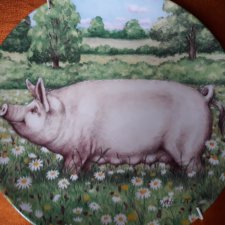Royal Doulton 1997 - Daisy by Debbie Cook a charming ' large white' in the ' pigs in bloom' collection kolekcjonerski talerz porcelanowy