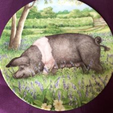 Royal Doulton 1997 -Bluebell  by Debbie Cook a charming ' hampshire ' with  her piglets  in the ' collection kolekcjonerski talerz porcelanowy z certy